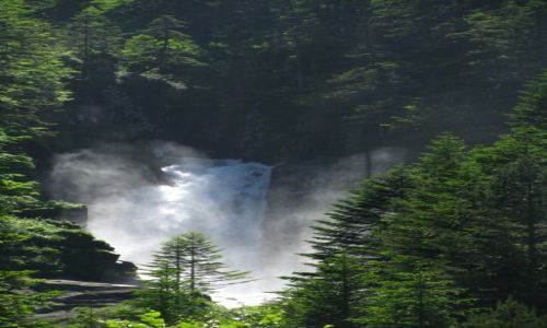 Zdjcie FRANCJA / Midi-Pyrenees / okolice Cauterets / trekking Cauterets - Lac du Gaube
