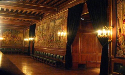 Zdjcie FRANCJA / Midi-Pyrenees / Pau / zamek Henryka IV