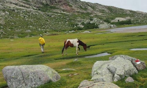 Zdjcie FRANCJA / Korsyka / szlak GR20 / Korsyka GR20