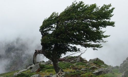 Zdjcie FRANCJA / Korsyka / szlak GR20 / Korsyka GR20