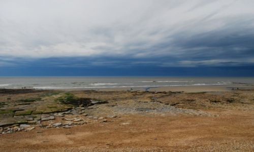 Zdjecie FRANCJA / Nor pas de Calais / Ambleteuse / Cote d'opale