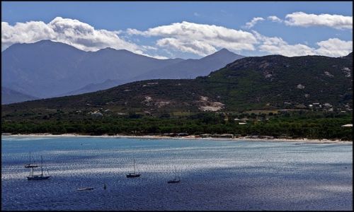 Zdjecie FRANCJA / Korsyka / Calvi / Calvi