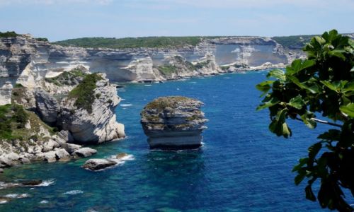 Zdjecie FRANCJA / Korsyka Pd. / Bonifacio / Samotna skaa