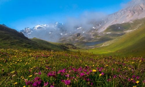 Zdjecie FRANCJA / Savoie / Vanoise National Park / Raj