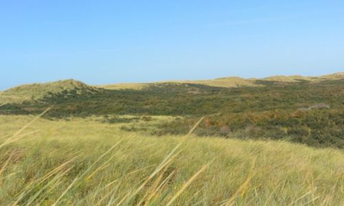 Zdjęcie FRANCJA /  Nord-Pas-de-Calais / Gravelines / okolice Gravelines