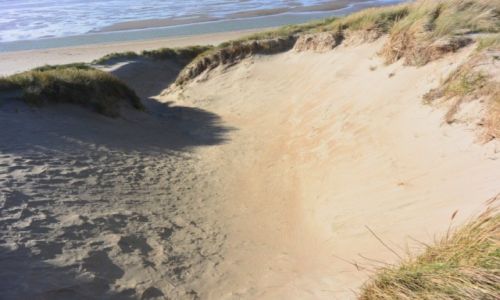 Zdjęcie FRANCJA /  Nord-Pas-de-Calais / Gravelines / okolice Gravelines