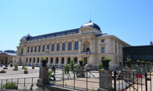 FRANCJA / Ile-de-France / Pary / Pary - Muzeum Historii Naturalnej