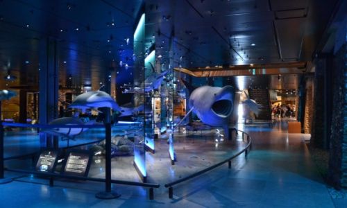 FRANCJA / Ile-de-France / Pary / Pary - Muzeum Historii Naturalnej