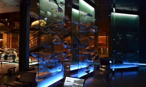 FRANCJA / Ile-de-France / Pary / Pary - Muzeum Historii Naturalnej