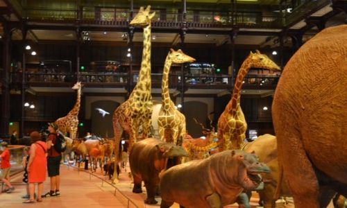 FRANCJA / Ile-de-France / Pary / Pary - Muzeum Historii Naturalnej