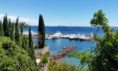 Zdjecie FRANCJA / LAZUROWE WYBRZEE / CANNES / CANNES