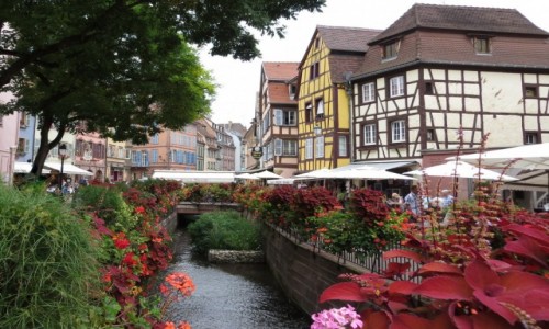 Zdjecie FRANCJA / Alzacja / Colmar / na winnym szlaku...