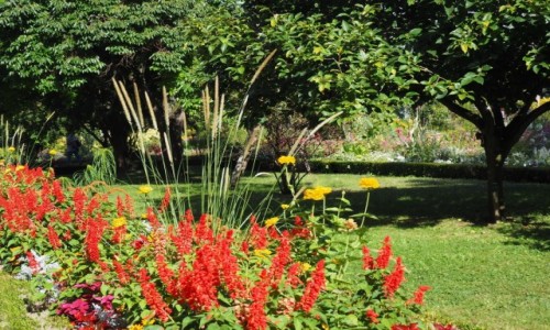 Zdjecie FRANCJA / Lotaryngia / Nancy-Jardin Dominique Alexandre Godron / w historycznym ogrodzie Dominique...