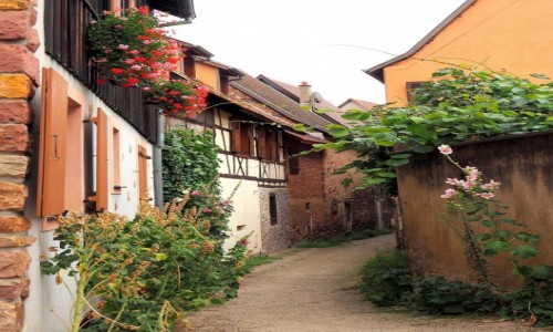 Zdjecie FRANCJA / Azacja / Eguisheim, Route des Vins / chciaoby si zosta...