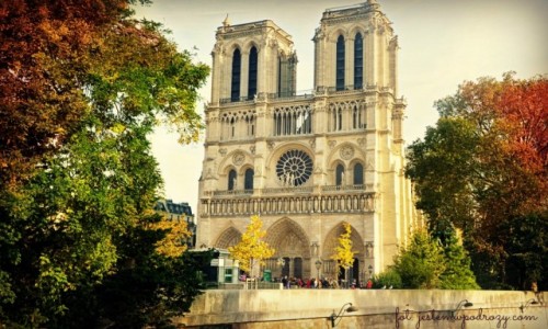 Zdjecie FRANCJA / - / Pary / Notre Dame w jesiennej oprawie