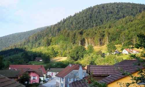 Zdjecie FRANCJA / Wogezy / Le Valtin / schowana w grach...