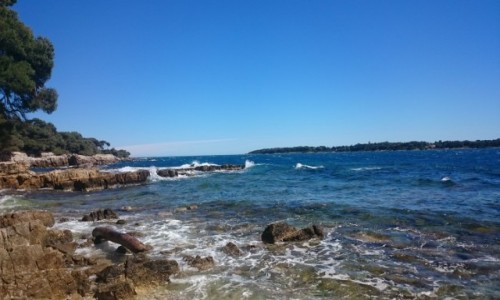 Zdjęcie FRANCJA / Lazurowe wybrzeze  / Wyspy Leryńskie  / Wyspy Leryńskie