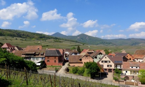 Zdjcie FRANCJA / Alzacja / Hunawihr / okolica...