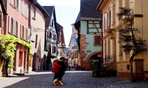 Zdjcie FRANCJA / Alzacja / Riquewihr / w Riquewihr...