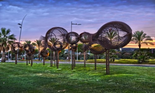 Zdjecie FRANCJA / Lazurowe Wybrzee / Cagnes-sur-Mer  / Rybki