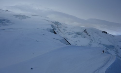 Zdjęcie FRANCJA / Alpy / Masyw Mont Blanc / Samotny.