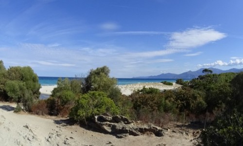 Zdjęcie FRANCJA / Korsyka / Plage de Saleccia / ICAN4x4