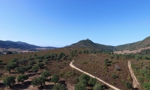 Zdj�cie FRANCJA / Korsyka / T40 / ICAN4x4