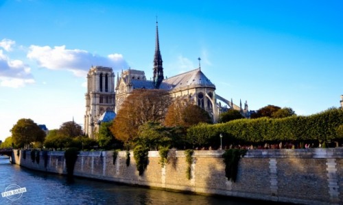 Zdjecie FRANCJA / - / Pary / Katedra Notre-Dame