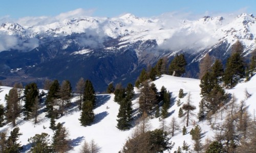 Zdjecie FRANCJA / Alpy Wysokie / Risoul / Domaine de la Foret Blanche***