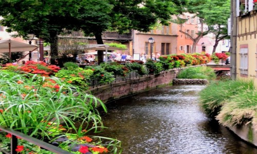 Zdjecie FRANCJA / Alzacja / Colmar / na winnym szlaku...