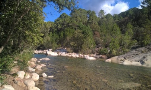 Zdjęcie FRANCJA / Korsyka / rzeka Cavu / ICAN4x4