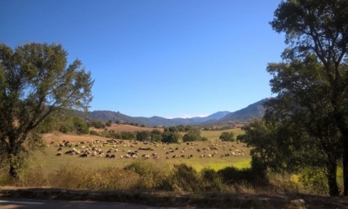 Zdjęcie FRANCJA / Poludniowa Korsyka / okolice Sartene / ICAN4x4