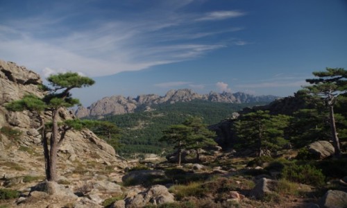 Zdjcie FRANCJA / Korsyka / Regional Natural Park of Corsica / Park Narodowy Korsyki