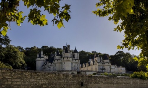 Zdjęcie FRANCJA / Indre i Loara / Rigny-Ussé / Zamek w Usse
