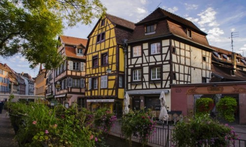 Zdjcie FRANCJA / Grand Est / Alzacja  / Colmar  / Colmar 