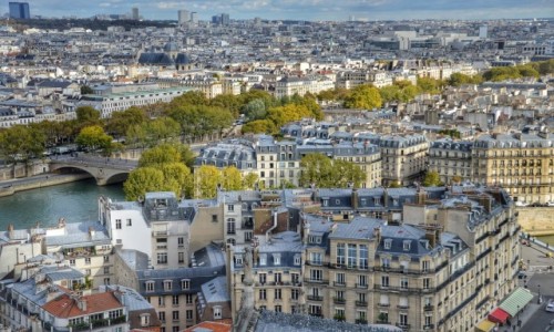 Zdjcie FRANCJA / - / PARY / Pary z katedry Notre Dame