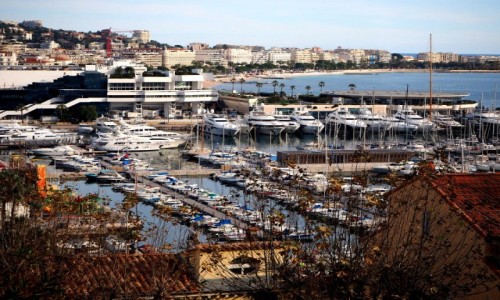 Zdjcie FRANCJA / Lazurowe wybrzee / Cannes / Cannes
