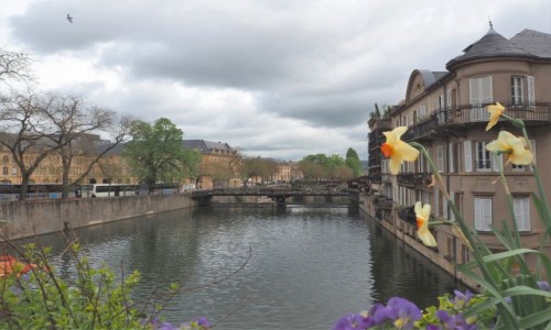 Zdjcie FRANCJA / Lotaryngia / Metz / wiosenny Metz...