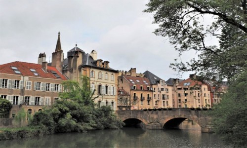 Zdjcie FRANCJA / Lotaryngia / Metz / mirabelkowo...