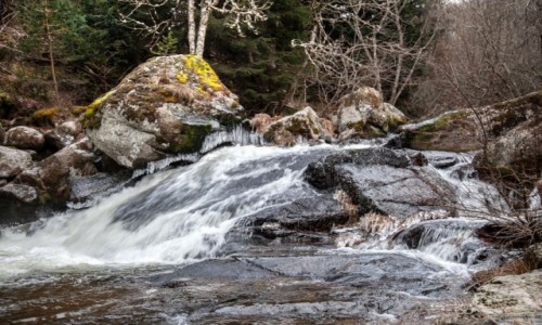 Zdjęcie FRANCJA / Oksytania / Lozère / Fontaine Saint-Méen