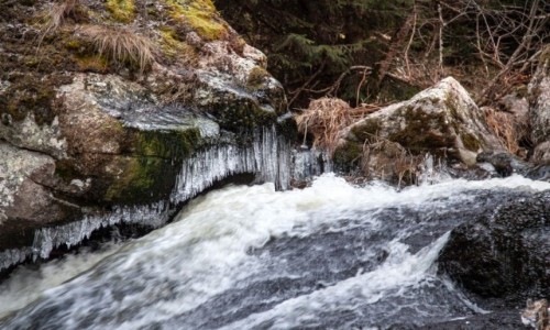Zdjęcie FRANCJA / Oksytania / Lozère / Fontaine Saint-Méen