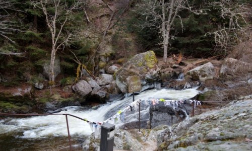 Zdjecie FRANCJA / Oksytania / Lozère / Fontaine Saint-Men
