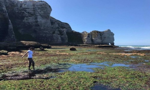 Zdjecie FRANCJA / -Normandia / Etretat  / Klify