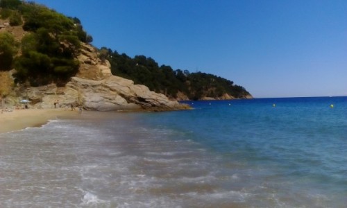 Zdjcie FRANCJA / Lazurowe Wybrzee / Cavalaire-sur-Mer / Plaa Bonporteau jeszcze raz