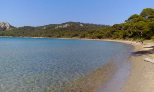 Zdjcie FRANCJA / Lazurowe Wybrzee / Porquerolles / Plaa na Porquerolles