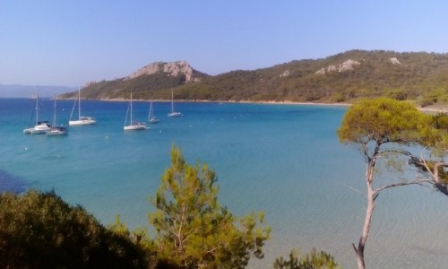 Zdjcie FRANCJA / Lazurowe Wybrzee / Porquerolles / Na Porquerolles