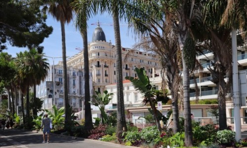 Zdj�cie FRANCJA / Alpes Maritimes / Cannes  / festiwalowe