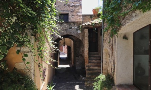 Zdjcie FRANCJA / Alpes Maritimes  / Nicea  / Haut de Cagnes