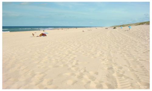 Zdjęcie FRANCJA / Akwitania / Messanges / Plaża