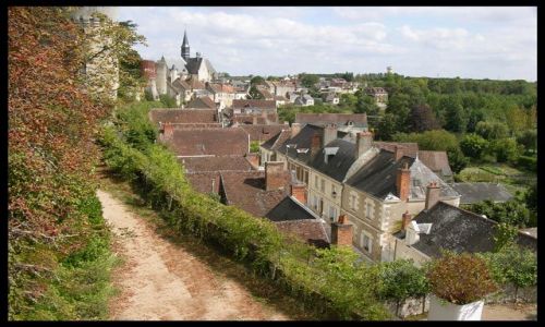 Zdjecie FRANCJA / brak / Montresor / Panorama miasta